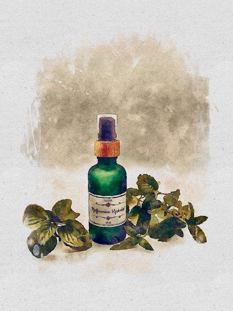 Hydrolate Pfefferminz